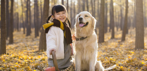 little girl playing with dog in autumn woods