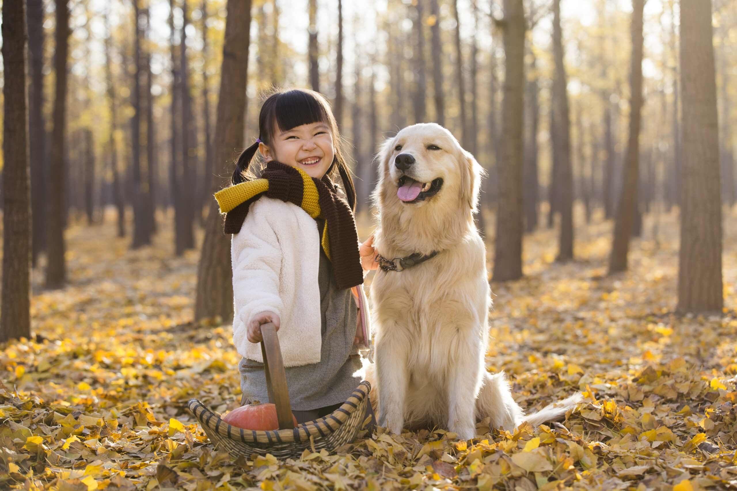 little girl playing with dog in autumn woods