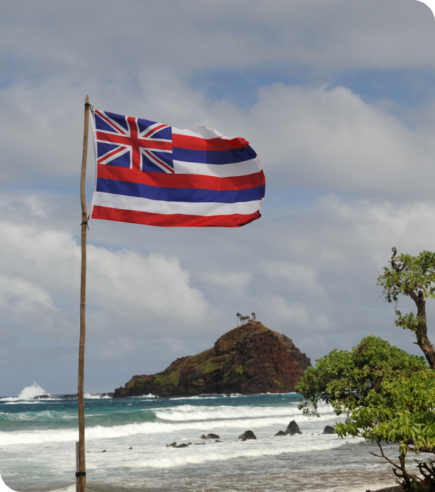 hawaii flag 620 701