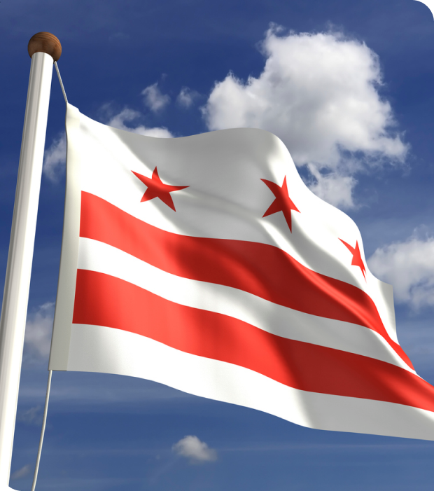 washington dc flag 620 701